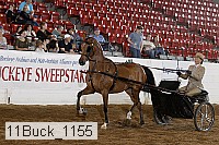 11buck_1155 proof