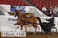 11buck_1156 proof