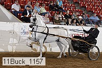 11buck_1157 proof