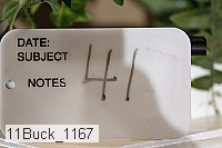 11buck_1167 proof