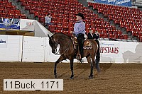 11buck_1171 proof