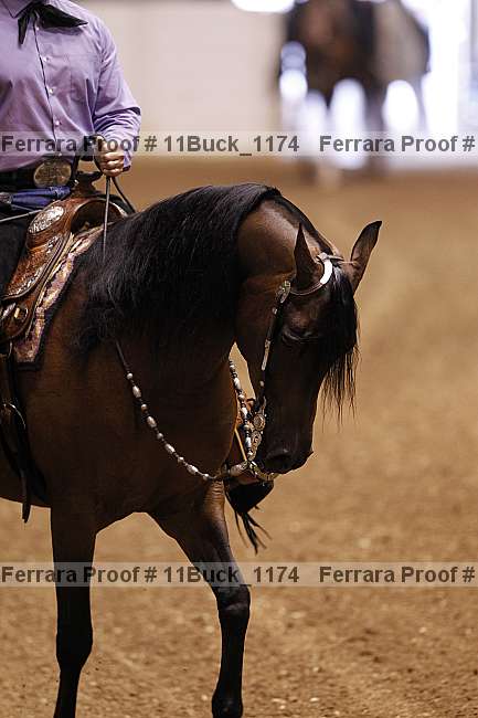 Proof 11buck_1174