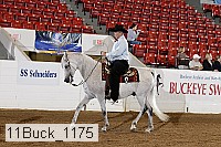 11buck_1175 proof