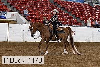 11buck_1178 proof