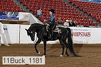 11buck_1181 proof