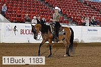 11buck_1183 proof