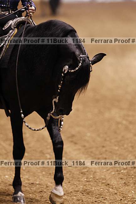 Proof 11buck_1184