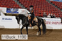 11buck_1190 proof