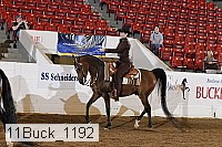 11buck_1192 proof