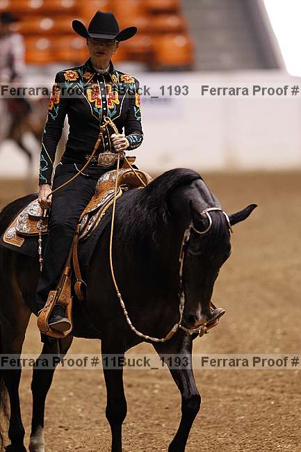 Proof 11buck_1193