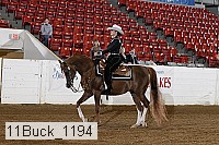 11buck_1194 proof