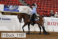 11buck_1197 proof