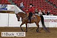 11buck_1202 proof