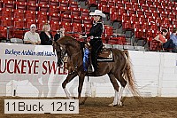 11buck_1215 proof