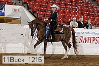 11buck_1216 proof