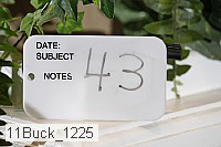 11buck_1225 proof