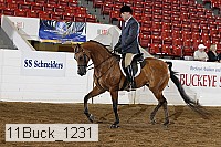 11buck_1231 proof