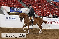 11buck_1236 proof