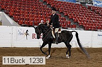 11buck_1238 proof