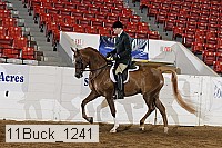 11buck_1241 proof