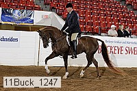 11buck_1247 proof