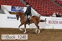 11buck_1248 proof