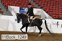 11buck_1249 proof