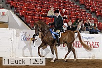11buck_1255 proof