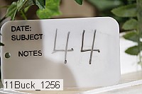 11buck_1256 proof