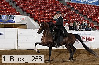 11buck_1258 proof