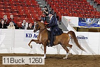 11buck_1260 proof
