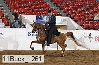 11buck_1261 proof