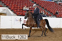 11buck_1262 proof
