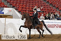 11buck_1266 proof