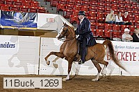 11buck_1269 proof