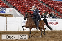 11buck_1272 proof