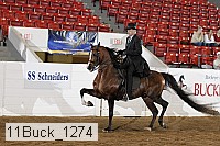 11buck_1274 proof