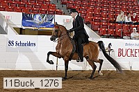 11buck_1276 proof