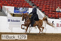 11buck_1279 proof