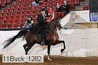 11buck_1282 proof