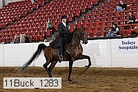 11buck_1283 proof