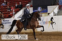 11buck_1286 proof