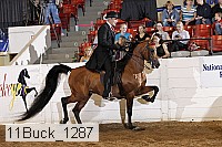 11buck_1287 proof