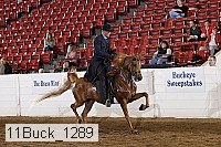 11buck_1289 proof