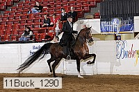 11buck_1290 proof