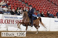 11buck_1295 proof
