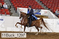 11buck_1297 proof