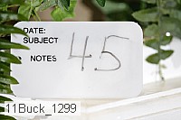 11buck_1299 proof
