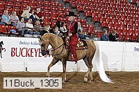 11buck_1305 proof