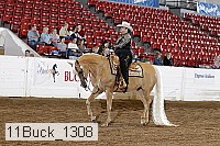 11buck_1308 proof